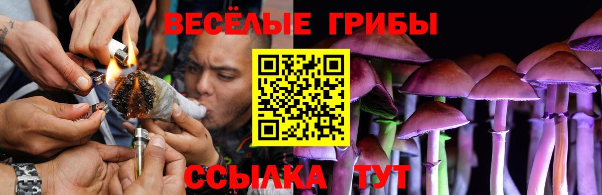 Псилоцибиновые грибы прущие грибы Лабытнанги
